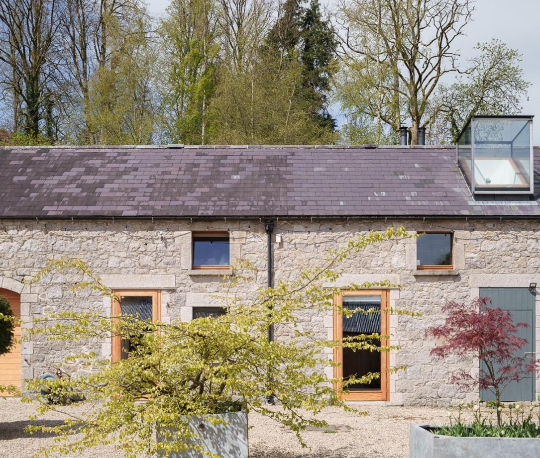 June Blake'S Garden Blessington Exterior photo